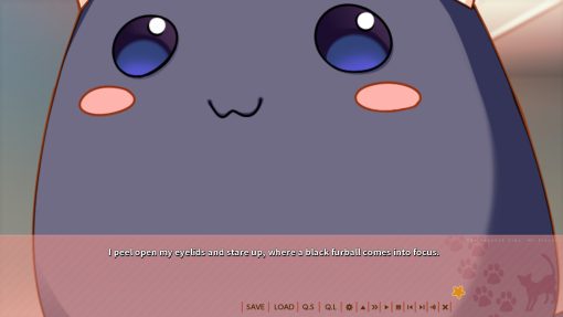 The Seventh Sign -Mr.Sister- - Image 10