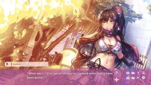 NinNinDays - Image 9