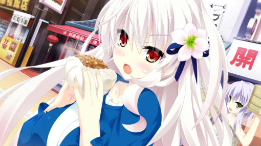 Destiny Star Girlfriend 2 - Image 3