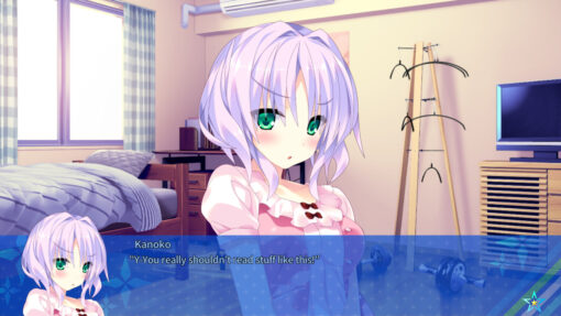 Destiny Star Girlfriend 2 - Image 4