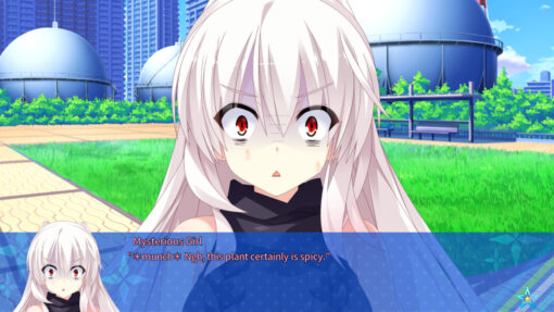 Destiny Star Girlfriend 2 - Image 10