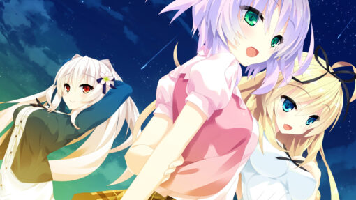 Destiny Star Girlfriend 3 - Image 4