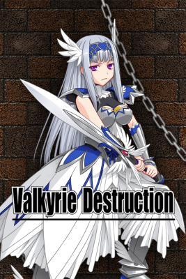Valkyrie Destruction