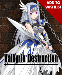 Valkyrie Destruction